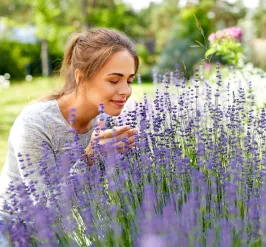 fragrance-garden-flowers