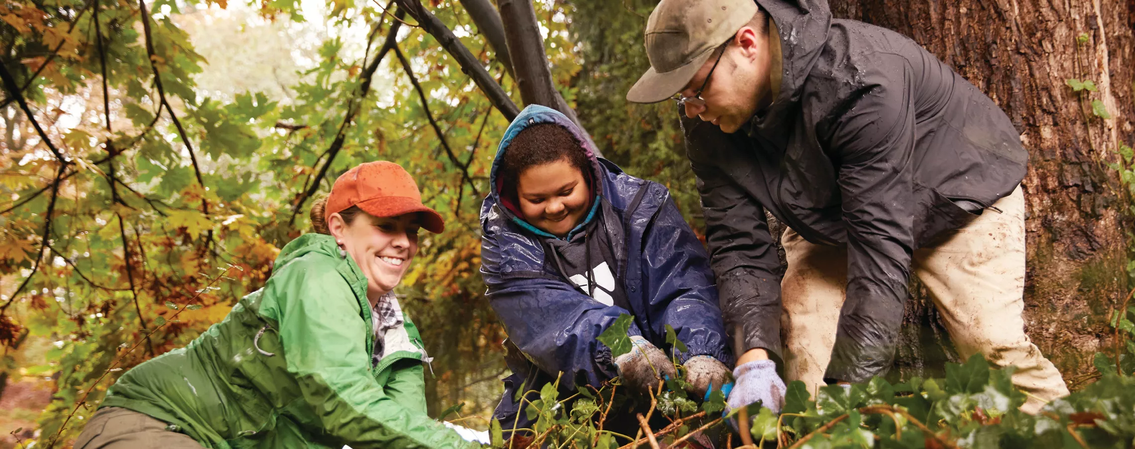 Three people volunteering