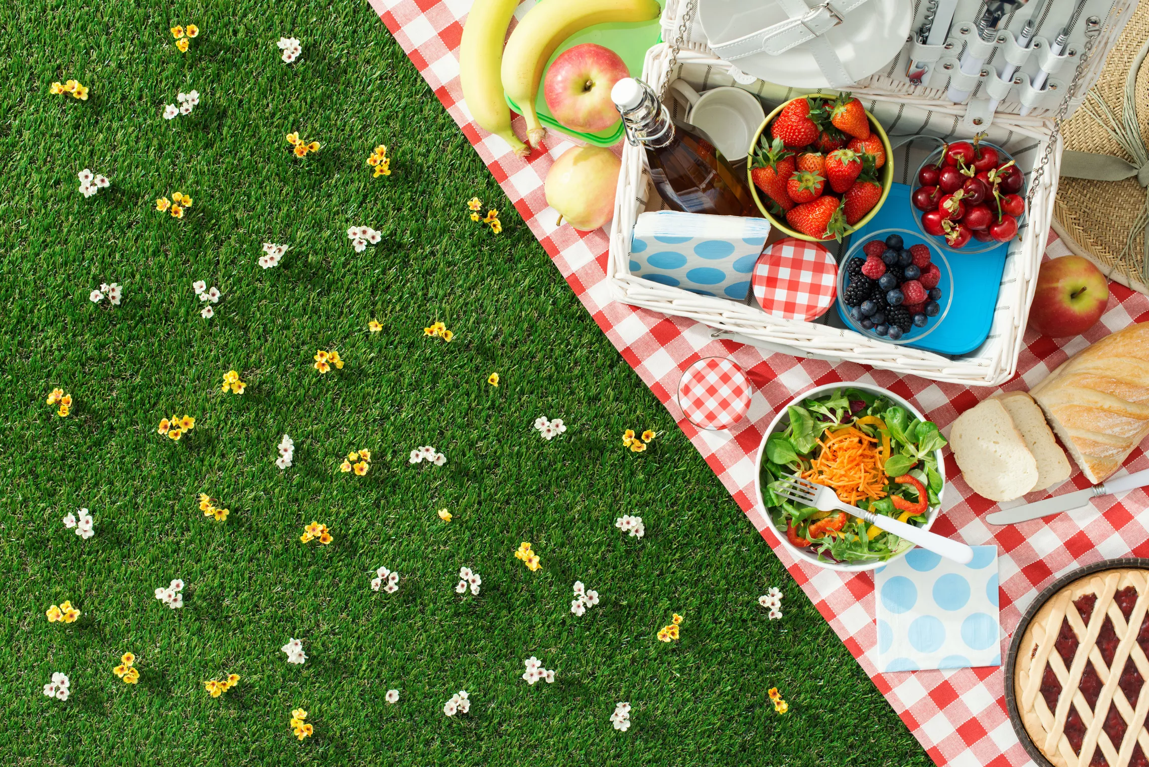 An outdoor picnic