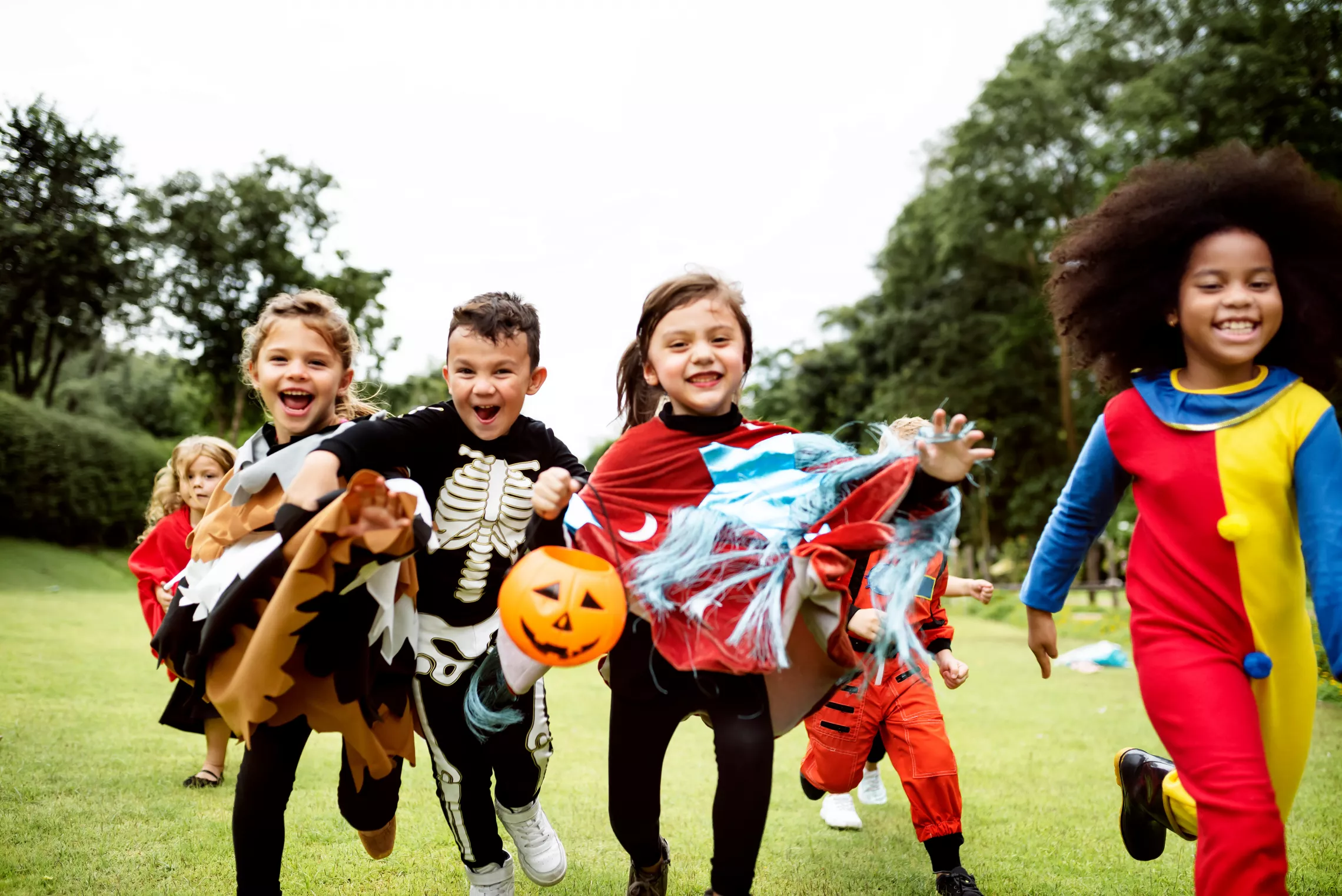 Family Fall Fun 2022
