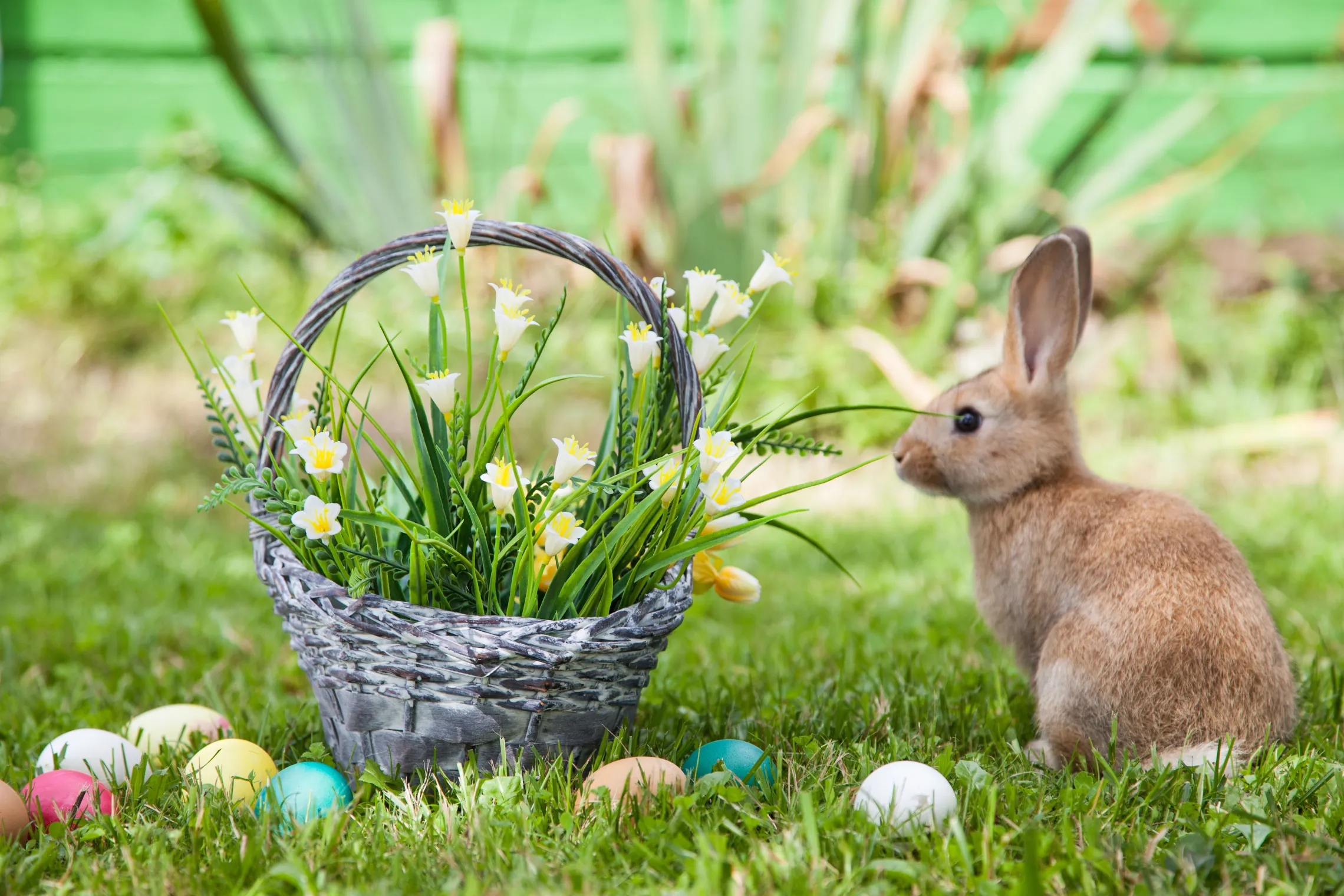 Easter ADOBE