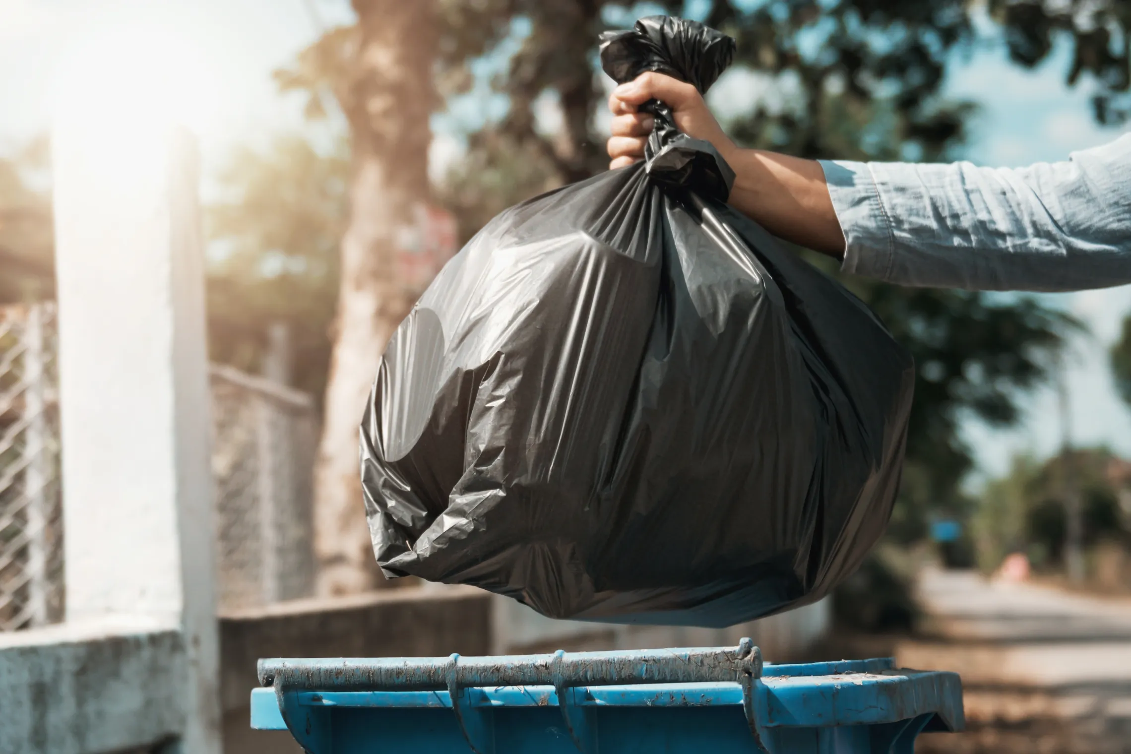 Trash Clean Up 4