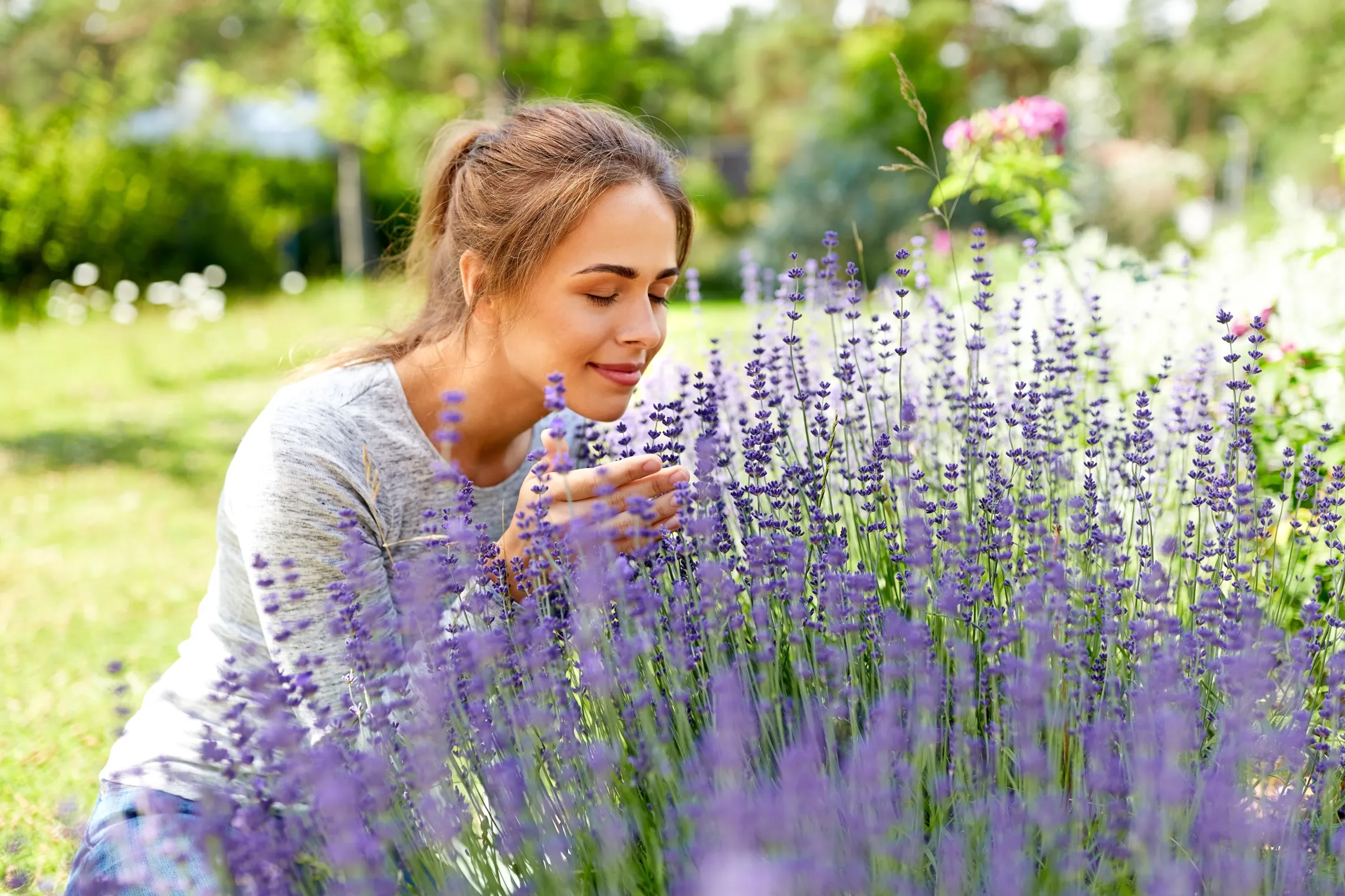 fragrance-garden-flowers