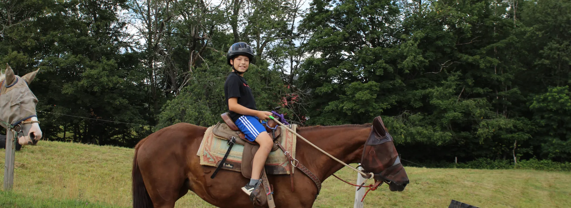 Weona Horse
